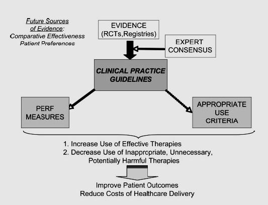 Development of CPGs, Performance Measures, and Appropriate Use