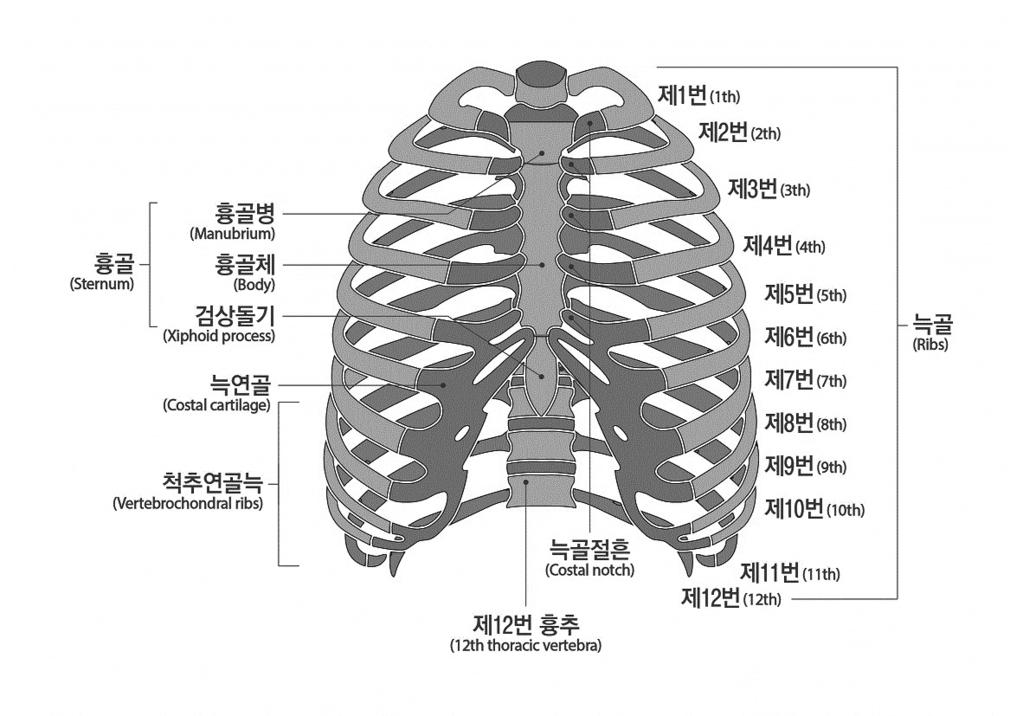 다 ) 미골의기형은골절이나탈구로방사선검사로측정한각 ( 角 ) 변형이 70 이상남은상태 3) 빗장뼈 ( 쇄골 ), 가슴뼈 ( 흉골 ), 갈비뼈 ( 늑골 ), 어깨뼈 ( 견갑골 ) 에뚜렷한기형이남은때 라함은방사선검사로측정한각 ( 角 ) 변형이 20