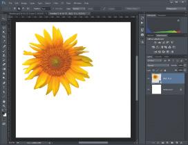 Creative Cloud 멤버는 Market에서 데스크탑과 모바일