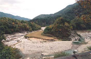 산청 구례 2 의지형경관 (2002) 조사자 : 손일소속 : 경상대학교 NO.