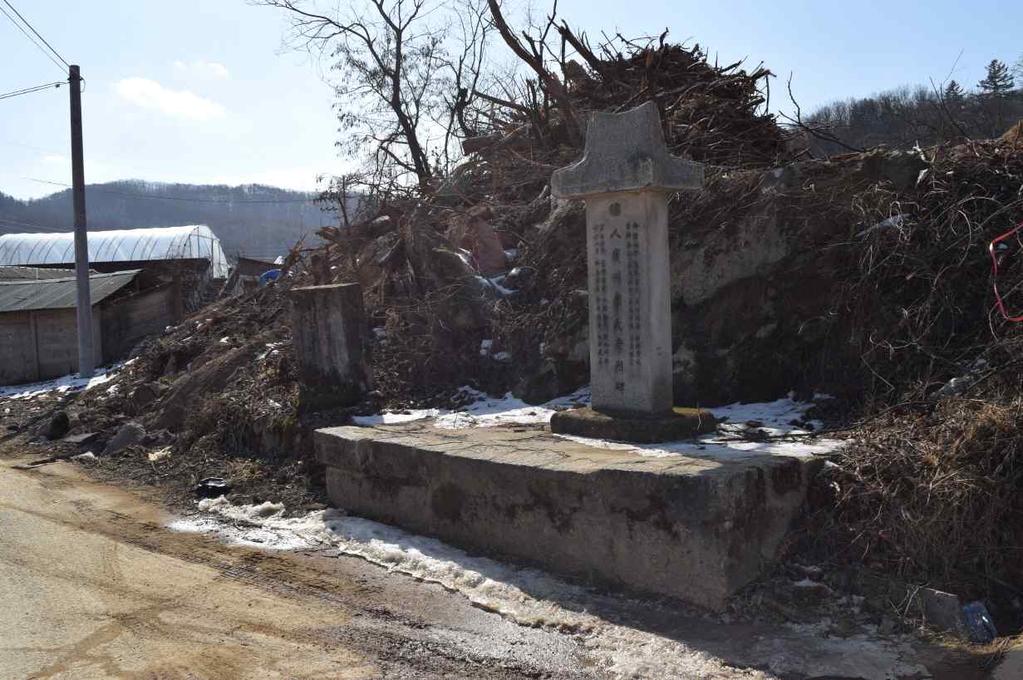 리은행나무전경 사진