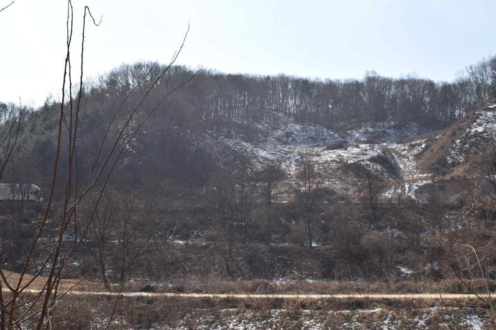 [ 사진 1, 도면 6] 조사지역내에절토면을살펴본결과, 조사지역대부분에서표토하석비례층이확인되며, 일부마사토층도확인된다.