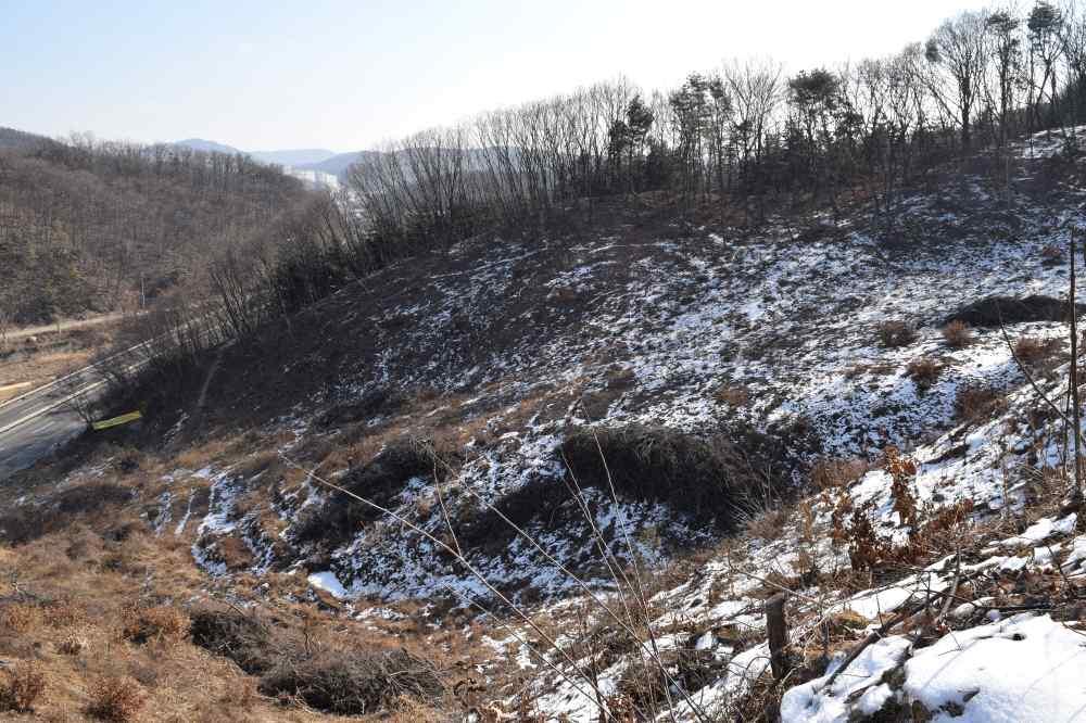 지표상에서문화재적가치를띠는유구및유물은확인되지않았으나주변에인접하여복하천이위치하고있으며, 조사지역남쪽및남서쪽의구릉정상부를포함한사면부평탄지는유적이존재할가능성이있다.