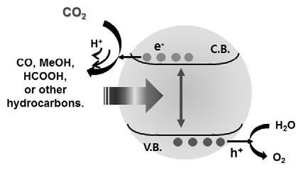 Figure 10. 입자형촉매를이용한 CO 2 환원인공광합성이수용액상에서일어날때산화, 환원반응. CO 2 가환원되어다양한생성물이생길수있고, 물이산화되어산소가생성됨. 자가물을환원시켜수소를생성하는대신, CO 2 와반응하여 CO, 메탄올, 개미산등을생성한다는점이다. 반면, 산화반응은산소가생성되는물의산화반응과동일하다.