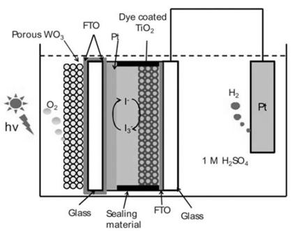 인공광합성 Figure 4. 염료감응형태양전지와 WO 3 광전극을이용한탠 덤형광전기화학전지의모식도 [8]. 그림 5. Co-OEC/3jn-a-Si/NiMoZn 구조의 wireless 광전기 화학전지모식도 [10]. 감응형태양전지를 WO 3 막이형성된전도성기판반대면에제조하여충분한전압발생을가능하게하였다.