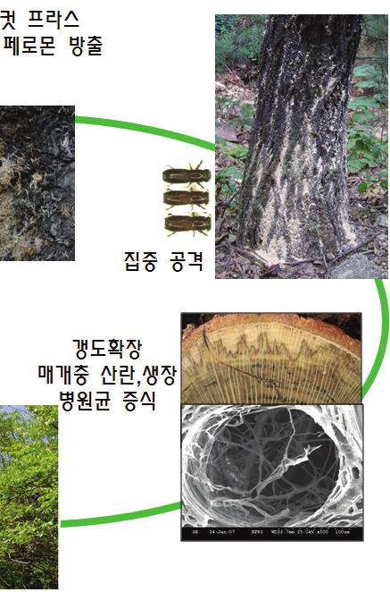 발생예찰조사 연보