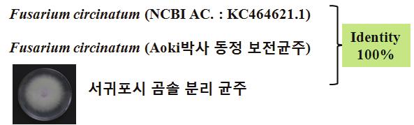 15의오른쪽 ). 이병해의세계적인분포가 1월평균기온이 0 이상인기후지역에서주로발생하는아열대성병해인점을감안하면제주도를비롯한남부지역곰솔에서의푸사리움가지마름병발생과확산여부는앞으로기후변화와관련하여매우중요한의미를갖는다고하겠다. 그림 15.