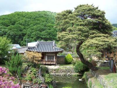 ( 風浴樓 ), 용틀임송 ( 松 ), 선조유지 ( 先祖遺志 )