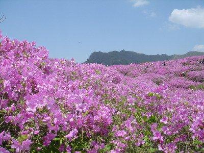 연주의양과음 양간 ( 陽干 ) (+) : 甲丙戊庚壬 음간 ( 陰干 ) (-) : 乙丁己辛癸 남자는연주가양간일때는순행, 갑을병정무..., 자축인묘진.