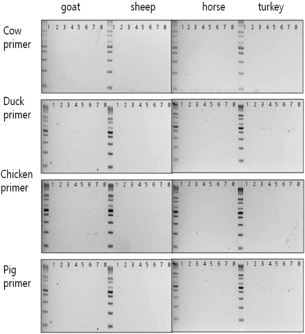 32 Eun-Jeong Heo et al. Fig. 2. Specificity test of 4 primer pairs (cow, pig, chicken and duck) for other four animals (goat, sheep, horse and turkey), respectively. Fig. 3.