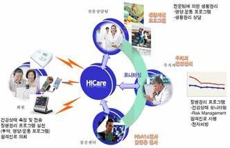 인성정보 u-health 서비스, 하이케어