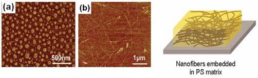 P3AT외에도 polyphenylenevinylene, polyfluorenes, poly [(9,9-dioctylfluorenyl-2,7-diyl)-co-(bithiophene)][F8T2], poly (3,3-didodecyl quarter thiophene)(pqt-12) 등의고분자반도체결정성나노와이어에대해서도많은연구결과가보고되고있다.