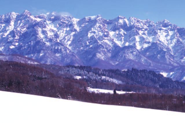 9월 NAGANO 길거리 예능 페스티벌 초순 젠고지 오모테산도 곤도 10 월 가와나카지마 옛 싸움터 축제 초순