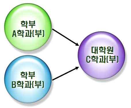 또한참여교수의소속이학부와대학원동일소속을원칙으로하되소속이다를경우대학원전임발령을내야한다. 그외에참여교수에관한세부사항은전문기관의장이따로정한다.