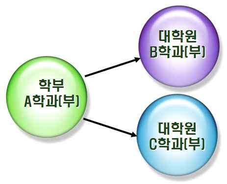 재임용심사자격미부여및재임용횟수제한자와학과학생정원과직접