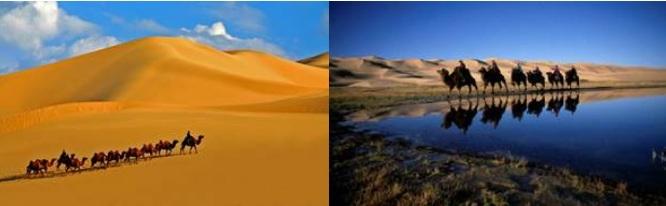 7. 출장시유의및참고사항 가. 기후 몽골의기후는극도의대륙성기후로겨울이길고건조하고여름은따뜻하고짧다. 평균온도는 1년중 5~6개월은 0도밑으로내려가며, 여름의 2~3개월은쾌적하면서따뜻하지만남쪽 Gobi 지역은상대적으로덥다.