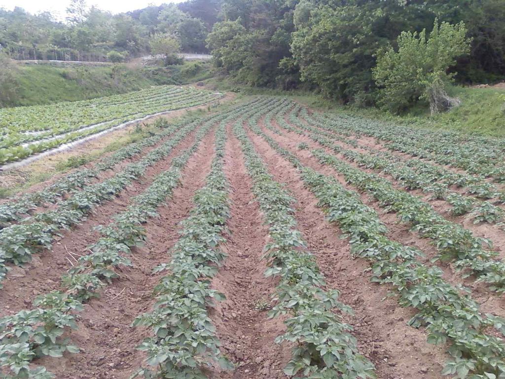 풀무학교생협등에서구입해보냄으로써지역농산물의판매에도기여 생산자와소비자의관계가살아있는농업을추구하며