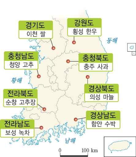 사라지거나획일화됨 지역화 : 지역이세계의정치, 경제, 사회의새로운주체로 등장 지리적표시제, 장소마케팅, 지역브랜드 지역이미지구축 : 지역고유의특성을강조 지역정체성기반 : 지역의장점부각, 다른지역과의 차별화필요 세계의보편적가치와접목시켜발전해야함 지리적 표시제 지역 브랜드 : 특정지역에서생산된상품의품질, 명성,