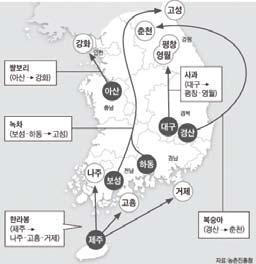 - 가축은고온스트레스에노출되어생산성및축산물품질저하 젖소는 27 이상에서기화열급증, 호흡수증가로우유생산량감소 돼지는두꺼운지방층과땀샘퇴화로고온에민감하여생산성저하 (2)