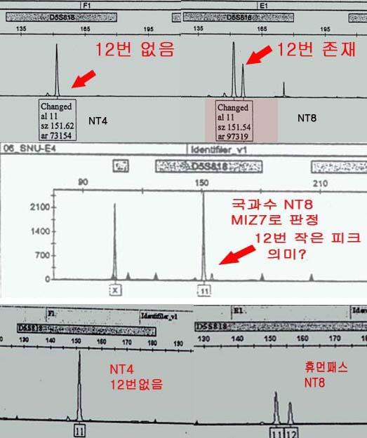 서울대조사위는미즈메디 7번이라고밝힌 NT 4, NT 8이 D5S818유전자가 11-12 혹은 11-11인지명확하지않다고보고하고있습니다. 이런결과에대해서추후에이를밝히겠다고언급한후다시정확한결과를제시하지않고있습니다. 만일미즈메디가 7번줄기세포를자신들이수립한것이맞는다면당연히논문을썼을때 DNA 지문검사를했을것이고논문에발표하지않았더라도그데이터를보관중일것입니다.