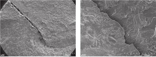 (a) (b) (a) (b) (c) (d) Figure 7. Fracture surface of porous 3D printing sample 3D: (a) and (b) plastic deformations were observed, (c) and (d) unbounded Ti particles were observed. (c) (d) Figure 8.