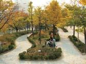 서울시남북녹지축 옥상공원화사례 ( 시청별관 )