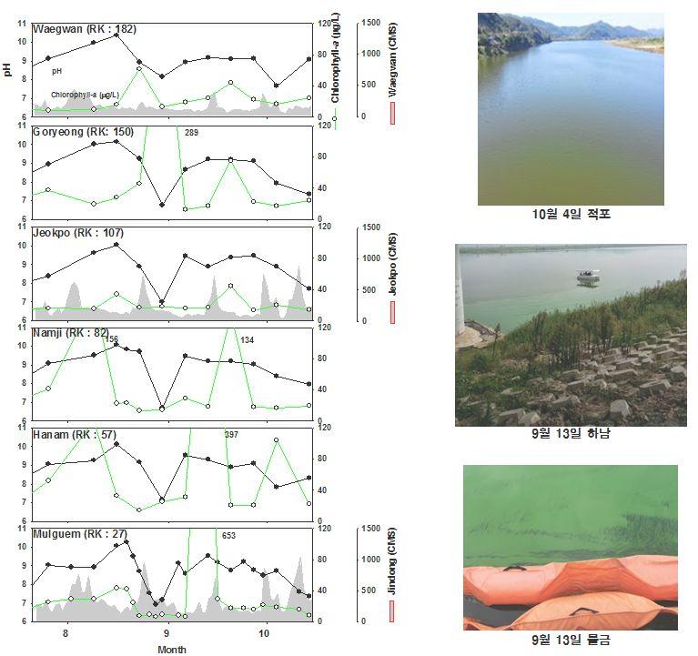 < 그림 2-13> 2013년 7 9월낙동강중- 하류 ( 물금, 하남, 남지, 적포, 왜관, 고령) 의 클로로필 a, 수소이온농도 (ph) ( 미발표자료) 지구온난화에따른기후변화는한반도의강우량에영향을미친다.
