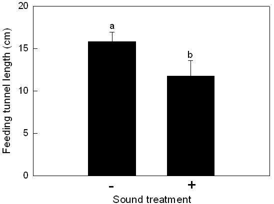 (A) Vibration effect on the feeding activity. (B) Effect of sound treatment (5,000 Hz, 24 h).