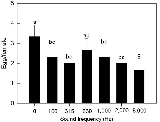 A). 또한잎의엽경에가깝게산란한것으로나타났다 (Fig. 38-B). (A) (B) Fig. 38. Effect of sound treatments on female oviposition of Liriomyza trifolii. (A) Preference of oviposition of Liriomyza trifolii.