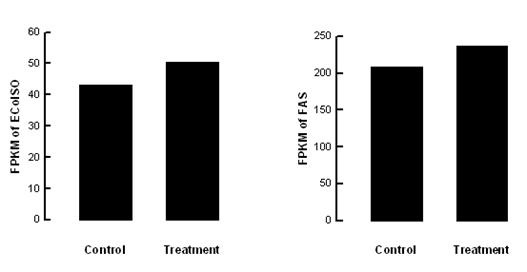 Fig. 59. Effect of stress sound (5,000 Hz, 95 db) on fatty acid metabolic pathway of Liriomyza trifolii. 지질합성에관여하는효소들의유전자발현양상이분석되었다 (Fig.