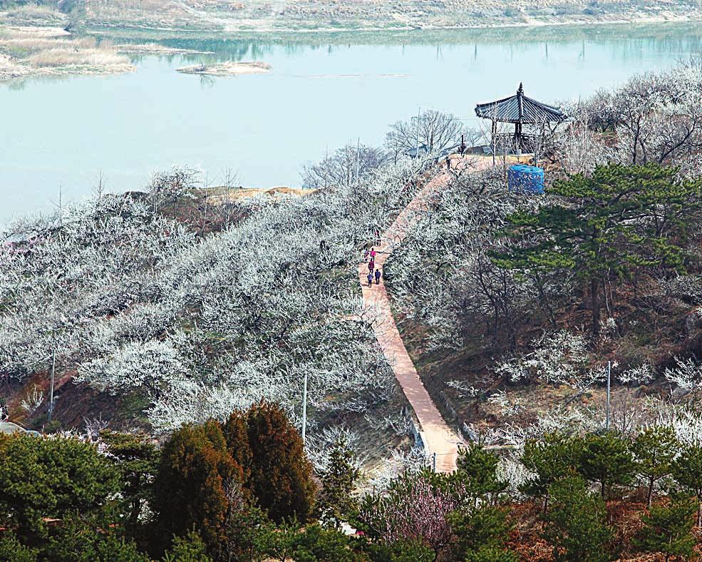 장흥읍 탐진강과 편백숲 우드랜드 일원에서 시원하게 펼쳐진다. 정남진 장흥 물축제에는 한여름의 무더위를 통쾌하게 날려 버릴 네 가지 핵심 프로그램이 준비돼 있다. 살수대첩 거리 퍼레이드 는 군민과 관광객이 하나가 되어 물싸움을 벌이 는 거리 퍼레이드로 물전쟁(살수대첩) 이 시작되었음을 알리는 프로그램이 다.