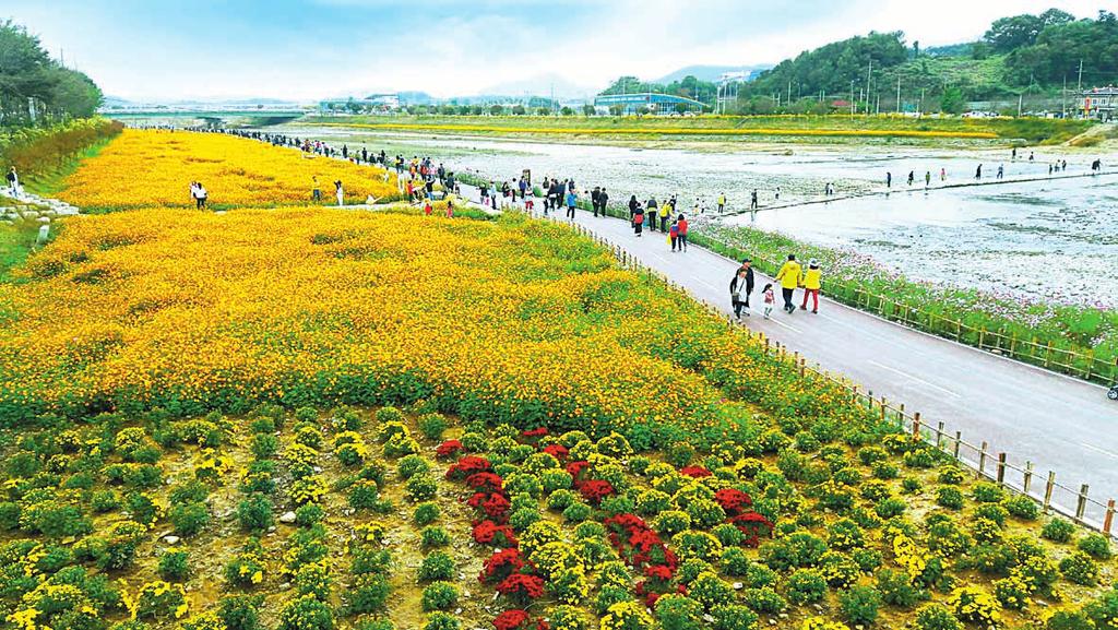 올해로 10회를 맞이하 는 고흥우주항공축제는 대한민국에서 유일하게 우주라는 특화 테마로 열리 는 지역축제로 2017년 전남도 대표축 제로 선정되었다. 세계 13번째 우주발사대가 있는 나 로우주센터를 주행사장으로, 차별화 된 우주과학 체험 콘텐츠를 즐길 수 있 는 우주항공축제는 올해 BigBang3 를 대표 프로그램으로 준비하고 방문 객 맞이에 분주하다.