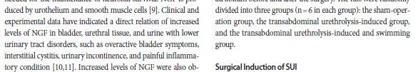 Methods 1) Patient