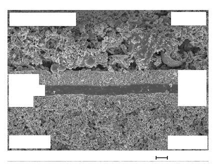 Technology Focus / 신재생에너지개발에따른부품소재 current collector cathode electrolyte anode substrate FZJ-IWV 2004 EHT=15.00kV Delector=InLens WD=10 mm 그림 3. 연료극지지식평판형셀의단면 (FZJ, Stoever) ~50μm ~1.