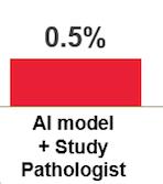 4%(IBM) Accuracy 81.1%  Metast.