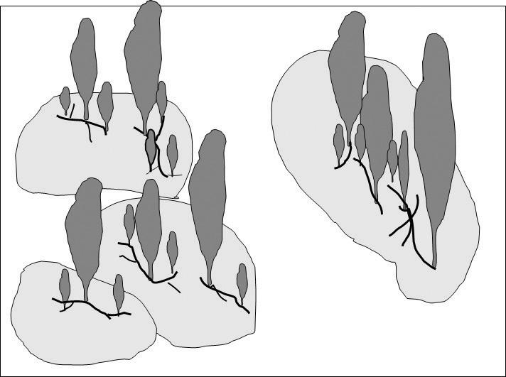 10 곰피양식 Cultivation of Ecklonia stolonifera 그림 2-9.. 1) 곰피의분포특징 곰피서식지의환경조사결과수온은 12.4~27.3C 였으며, 12월이가장낮고 8월이가장높았다. 염분은 20.2~34.05 범위로서 7월이가장낮았고, 5월이가장높게나타났다.