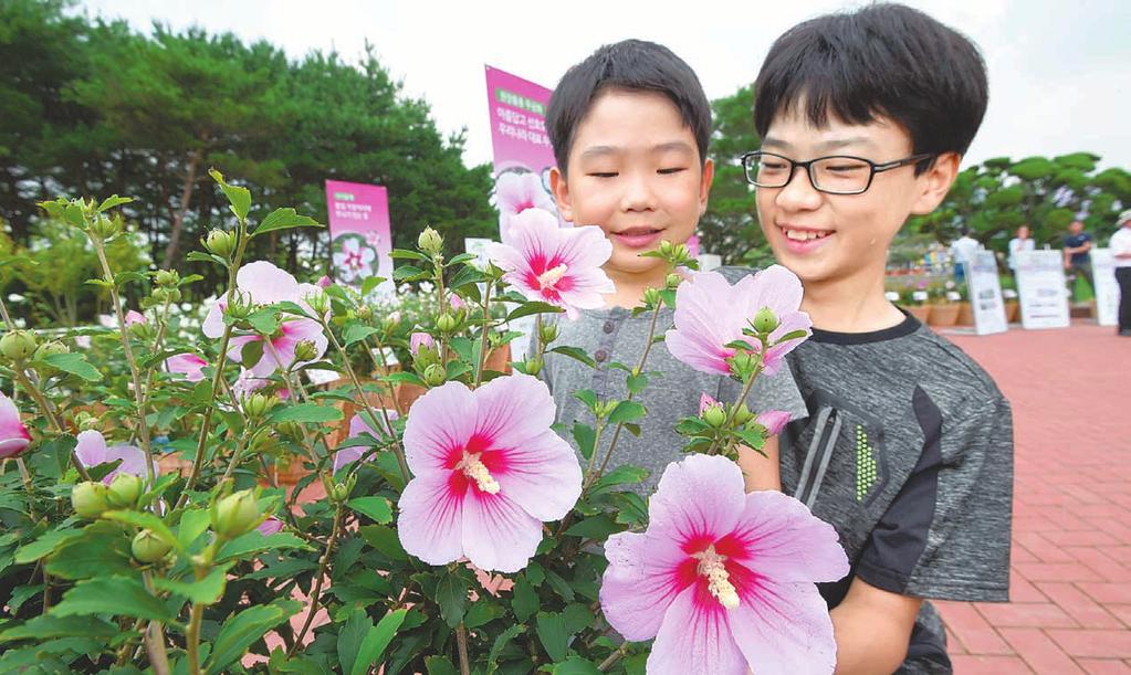 E6 즐겨요! 무궁화 꽃, 느껴요! 나라사랑 나라꽃무궁화전국축제 산림청에서는 나라꽃 무궁화의 아름 다움을 널리 알리고, 나라사랑 정신을 함양하기 위해 1991년부터 매년 나라꽃 무궁화 전국축제 를 개최하고 있다.