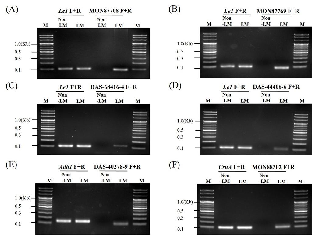 J Plant Biotechnol (2017) 44:97 106 101 Fig. 3 Establishment of PCR amplification for LMO events. PCR analysis were performed by using the endogenous Lectin 1 (Le1) and event-specific gene primers.