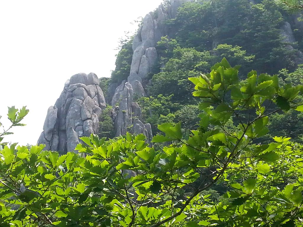 남산 제1봉에서 동쪽 능선길은 계속 바위봉의 연속이다. 하산은 정상에서 해인사 입구인 신부락으로 내려가려면 서남쪽으로 난 등산로를 이용하여 오봉산으 로 이어지는 능선을 거쳐야 하는데 단풍으로 물든 암봉을 통과하는 묘미가 있다. 화산 이다. 정상인 남산 제1 매화산 정상의 화강암 풍화지형 매화산 정상 6.