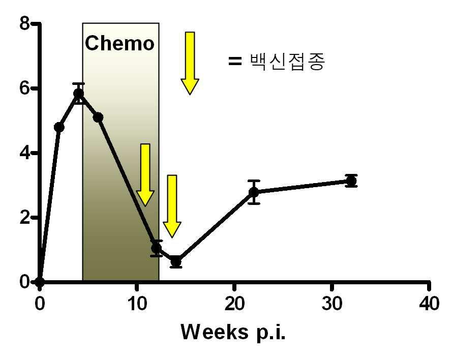 도면 2 도면