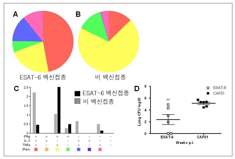 도면 4 도면