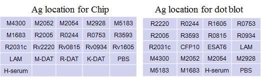 chip based microarray