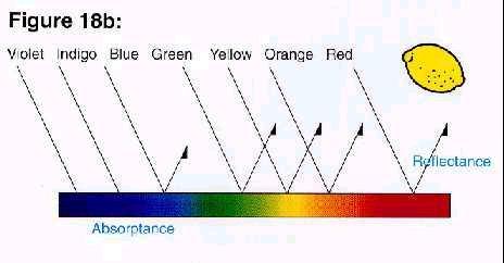 이그래프에서황색계통과적색계통의파장성분의반사율은높고 ( 광량이많고 ) 자색, 남색의파장성분의반사율은낮아져 ( 광량이적게 )