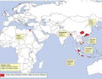 삐뽀삐뽀질병예방 체크리스트 5 Travel safety guidebook 52 53 뎅기열 (Dengue Fever) 조류인플루엔자인체감염증 (H5N1, H7N9) 감염경로바이러스에감염된모기에물려생기며, 사람간전파없음 ( 잠복기 : 3~8일 ) 증상갑작스런고열, 두통, 근육통, 관절통등 ( 종종쇼크, 출혈로사망 ) 예방모기에물리지않도록주의하는것이중요함 (