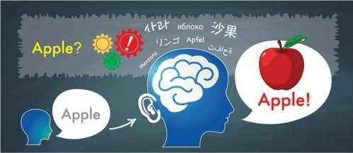 포함하는 음성인식기술과, 문서나 음성인식된 결 과를 입력으로 받아 이해하고 추론하는 언어처리기술, 사용자와 소통하고 편의성을 제공해주는 언 어 및 음성 인터페이스기술로 분류함 음성인식 SW는 관점에 따라 다양하게 분류할 수 있음, 발화자에 따라 화자종속방식(Speaker Dependent System), 화자독립방식(Speaker Independent