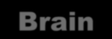 을통합하여변연계 (Limbic System) 에대한관점을추가 좌상뇌 (A): 논리적, 수리적, 문제해결등정량적이며분석적사고기능담당 좌하뇌 (B): 통제적, 보수적,