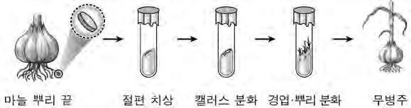 2019 학년도대학수학능력시험 6 월모의평가문제지 1 제 4 교시 직업탐구영역 ( 농업이해 ) 성명 수험번호 1. 다음사례에서 마늘연구소가씨마늘개발에사용한생명 공학기술로옳은것은? 3. 다음에서 A 씨가최근구입한농기계를활용했을때얻을수있는효과로적절한것을 에서고른것은? 마늘은종구 ( 인편 ) 로영양번식을하기때문에증식률이낮아우량품종보급에어려움이많았다.