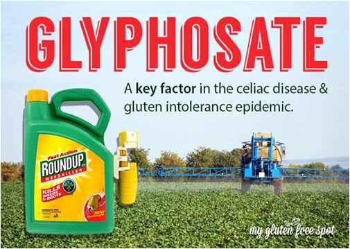 글리포세이트는 GMO 작물과는실과바늘겪인제초제이고몬산토사의대표적인제초제라운드업 (Round Up) 의주성분이다. 라운드업은불임증과각종암, 파킨슨병을유발하는것으로알려지고있다.