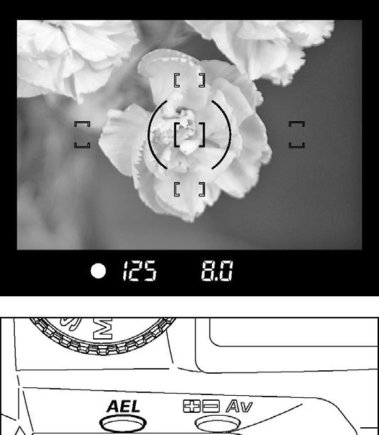 AE 잠금 카메라는사용자가 AE 잠금버튼을눌렀을때그노출값을기억하고고정할것입니다. 가운데에있지않은피사체의노출로촬영을원할때 AE 잠금은매우유용합니다.