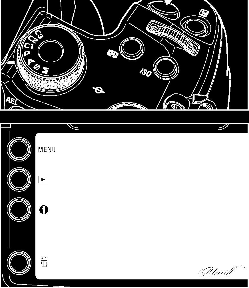 55) 파인더를통해구도를설정하고셔터를